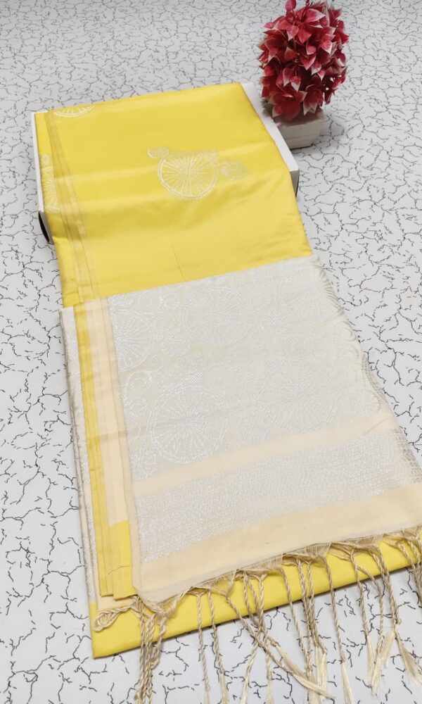 BORDERLESS SOFT SILK SAREES